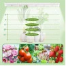 5000K 4 lumini LED pentru cultivarea și cultivarea plantelor de interior - PL17 - Изображение 3