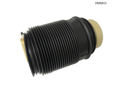 Airbag cu suspensie Mercedes E-Class W212 (spate dreapta) - DMb815 - Sellzone.bg Airbag cu suspensie Mercedes E-Class W212 (spate dreapta) - DMb815