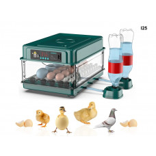 Eclozator automat pentru 30 de ouă - I25 - Sellzone.bg Eclozator automat pentru 30 de ouă - I25