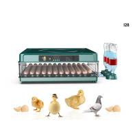 Incubator automat pentru 130 de ouă de dimensiune standard - I28 - Sellzone.bg Incubator automat pentru 130 de ouă de dimensiune standard - I28