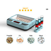 Mini incubator automat inteligent de înaltă clasă pentru 24 de ouă - I29 - Sellzone.bg Mini incubator automat inteligent de înaltă clasă pentru 24 de ouă - I29