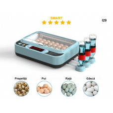 Mini incubator automat inteligent de înaltă clasă pentru 24 de ouă - I29 - Sellzone.bg Mini incubator automat inteligent de înaltă clasă pentru 24 de ouă - I29