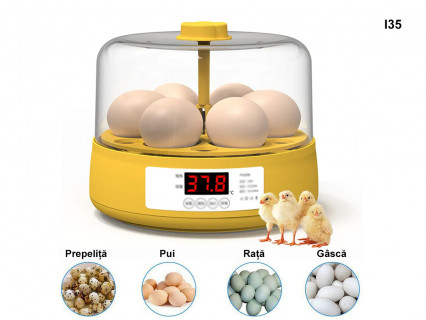 Mini incubator automat pentru 6 ouă - I35 - Sellzone.bg Mini incubator automat pentru 6 ouă - I35
