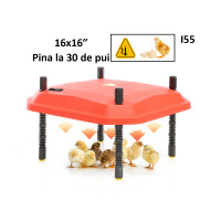 Incalzitor automat pentru cresterea puilor cu LED control pina la 30 de pui - I55 - Sellzone.bg Incalzitor automat pentru cresterea puilor cu LED control pina la 30 de pui - I55