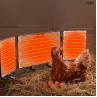 Panou pliabil cu încălzitoare pentru încălzirea puilor și a animalelor domestice - I980 - Изображение 5 - Sellzone.bg Panou pliabil cu încălzitoare pentru încălzirea puilor și a animalelor domestice - I980 - Изображение 5