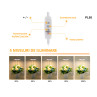 Mini lampă rotundă pentru creșterea rapidă a plantelor - PL05 - Изображение 3 - Sellzone.bg Mini lampă rotundă pentru creșterea rapidă a plantelor - PL05 - Изображение 3