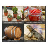 Covoras de incalzire pentru rasad plante de 25/50cm inpermeabil - PL09 - Изображение 5 - Sellzone.bg Covoras de incalzire pentru rasad plante de 25/50cm inpermeabil - PL09 - Изображение 5