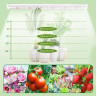 5000K 4 lumini LED pentru cultivarea și cultivarea plantelor de interior - PL17 - Изображение 3 - Sellzone.bg 5000K 4 lumini LED pentru cultivarea și cultivarea plantelor de interior - PL17 - Изображение 3