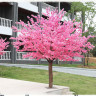 Copac artificial mare Cireș Japonez pentru decor 3 metri - PL305 - Изображение 3 - Sellzone.bg Copac artificial mare Cireș Japonez pentru decor 3 metri - PL305 - Изображение 3
