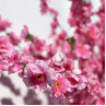 Copac artificial curbat mare Cireș Japonez pentru decor 3 metri - PL310 - Изображение 3 - Sellzone.bg Copac artificial curbat mare Cireș Japonez pentru decor 3 metri - PL310 - Изображение 3