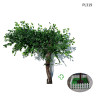 Arbor artificial curbat veșnic verde pentru decor 1,5m - PL319 - Изображение 2 - Sellzone.bg Arbor artificial curbat veșnic verde pentru decor 1,5m - PL319 - Изображение 2