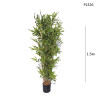 Bambus artificial pentru decorare 150cm cu ghiveci - PL326 - Изображение 1 - Sellzone.bg Bambus artificial pentru decorare 150cm cu ghiveci - PL326 - Изображение 1