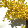 Copac artificial de toamna curbat pentru decor 2m galben - PL328 - Изображение 3 - Sellzone.bg Copac artificial de toamna curbat pentru decor 2m galben - PL328 - Изображение 3