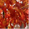 Arbol artificial de toamna pentru decor 1 m multicolor - PL329 - Изображение 4 - Sellzone.bg Arbol artificial de toamna pentru decor 1 m multicolor - PL329 - Изображение 4