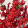 Arbol artificial Piersic pentru decor 1m - PL337 - Изображение 3 - Sellzone.bg Arbol artificial Piersic pentru decor 1m - PL337 - Изображение 3